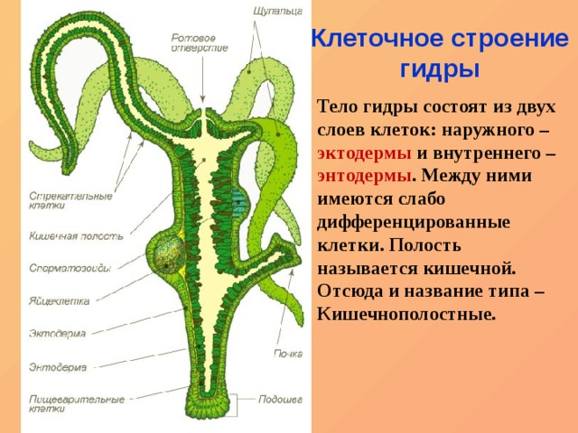 Кракен сайт маркетплейс